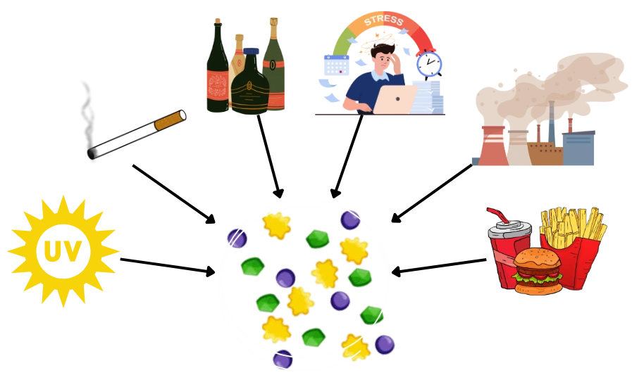 Formation of free radicals